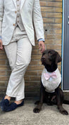 Cream Linen Dog Wedding Suit